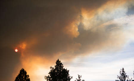 Billowing smoke rises up from an uncontrolled forest fire in national forest landの写真素材