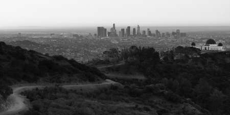 Green trees dominate the forground with the city skyline of Los Angeles in the backgroundの写真素材