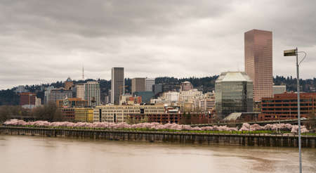 Tree blossoms bloom along the riverfront in Portland Oregon North America USAのeditorial素材