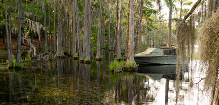 A calm serene scene at a swamp pond with a boat the locals use for a hunting hideのeditorial素材