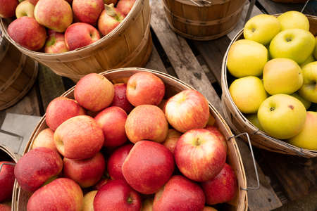 Freah food produce apples in a bushel basket at the marketの写真素材