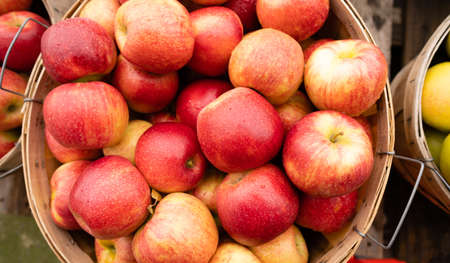 Freah food produce apples in a bushel basket at the marketの写真素材
