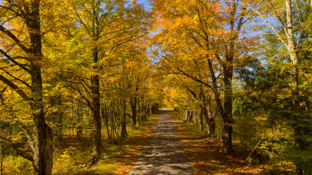 Desolate country road has leaves falling in autumn season New Yorkの写真素材