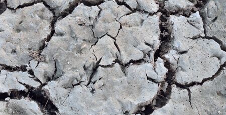 Close up scene of cracked ground fieldの写真素材