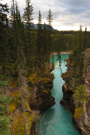 The Athabasca River in Jasper National Park, Alberta, Canadaの写真素材