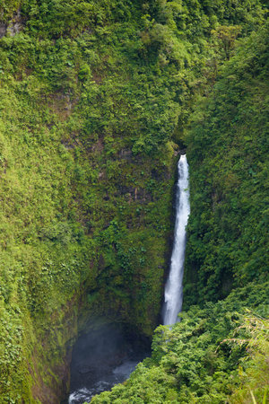 Waterfall in the rainforest of Maui, Hawaii, USAの写真素材