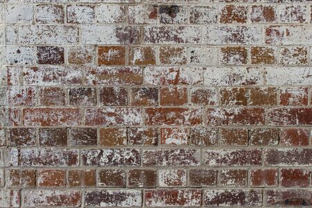 Texture Brick Wall Red White Paintの写真素材