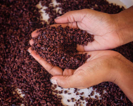 Cacao loverの写真素材