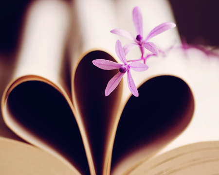 Book and flowerの写真素材