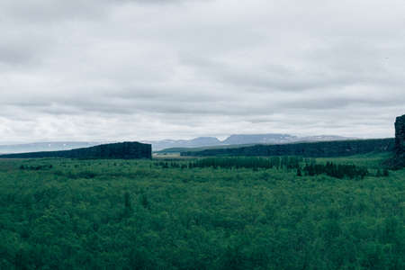 Nature