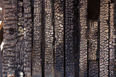 Close-up of the burnt wood background