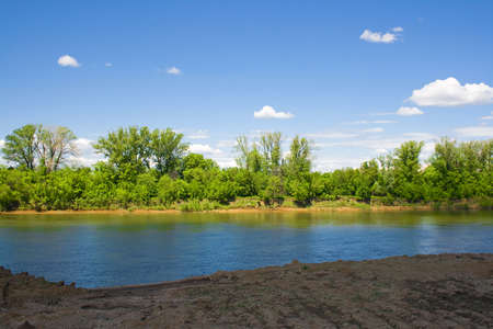 Summer landscape of green trees on blue sky background