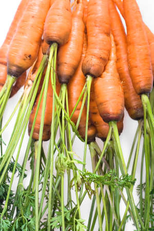 Fresh Carrots