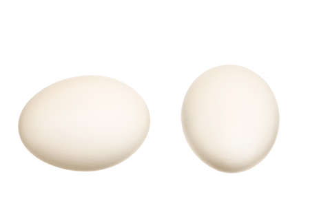 White eggs