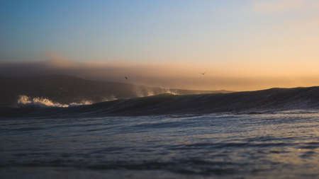 Water Waves