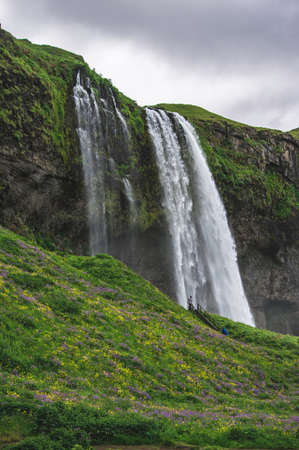 Lush Waterfall