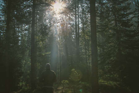Hiking in the Woods