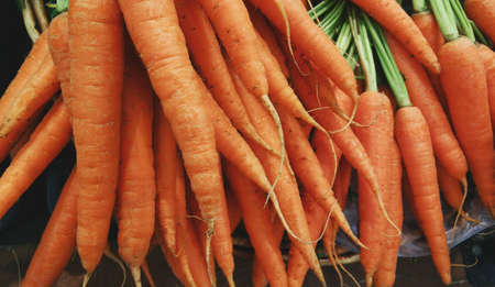 Group of Carrots