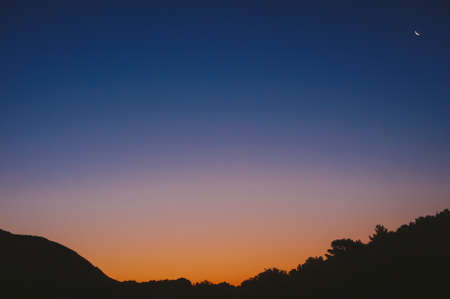 Black landscape