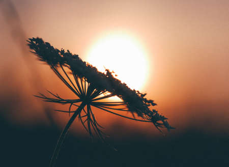 Creation