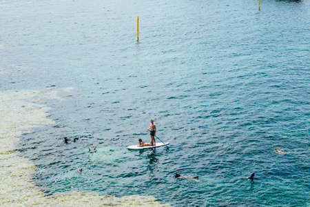 Surfer