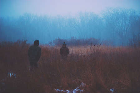 Jungle