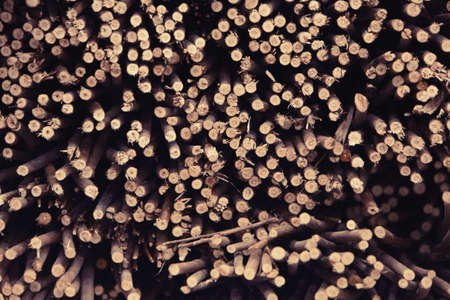 Wood Logs