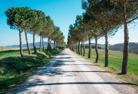 The Route