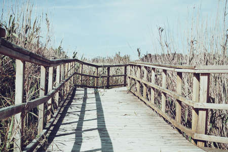 Path