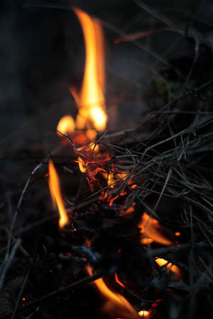Fuel