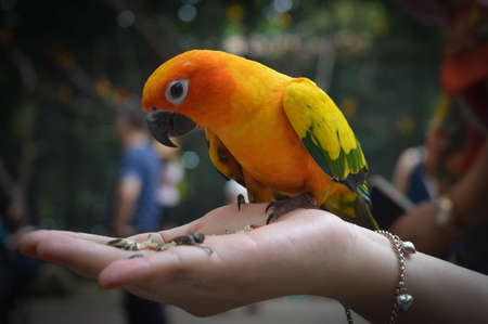 On the hand
