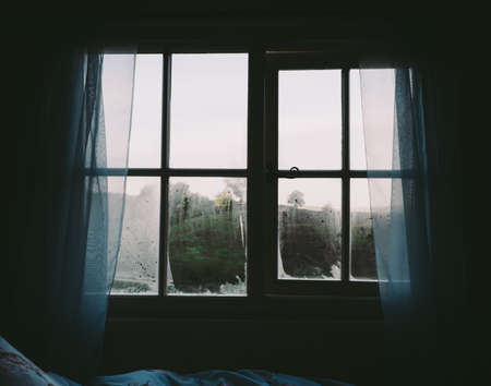 Window