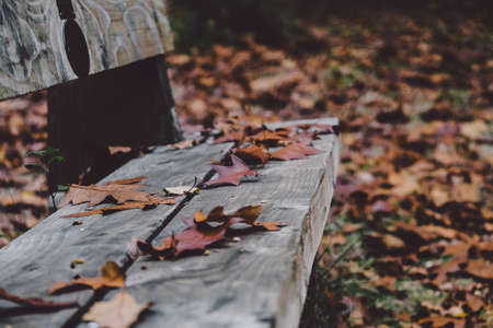 Bench