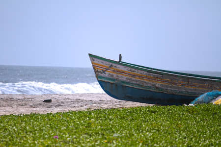 Shore
