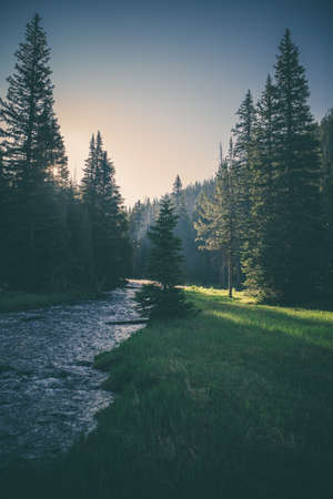 Nature