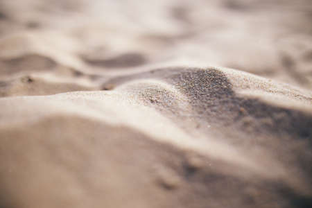 Sand Texture