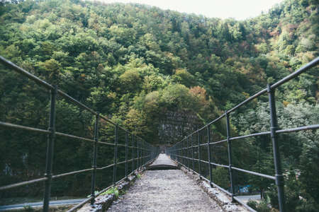 The Bridge