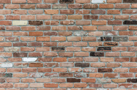 Wall