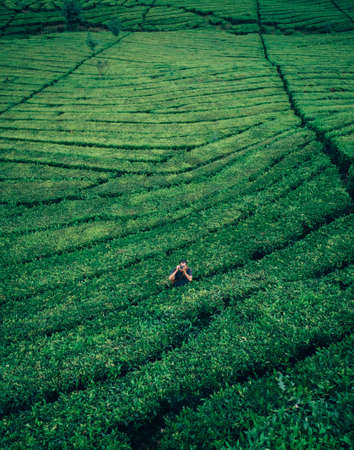 Crop