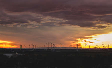 Windmills at Sunset