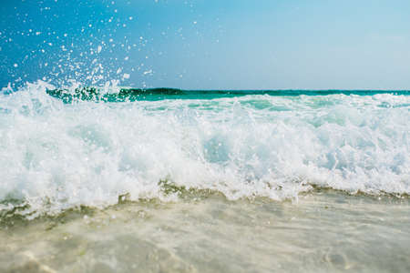 Wave