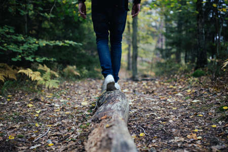Walk to the Wild