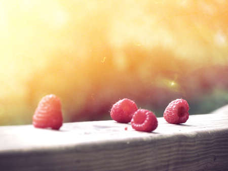 Red Berries