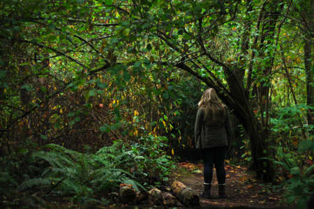 Into the Wild