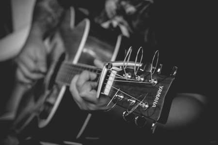 Guitar