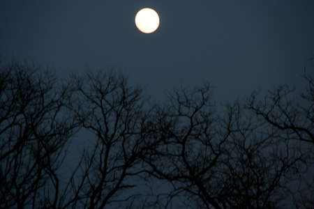 Moon