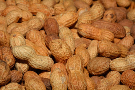 Peanuts