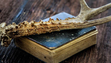 Old Book