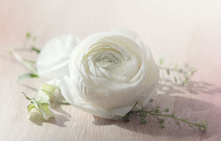 White Flower
