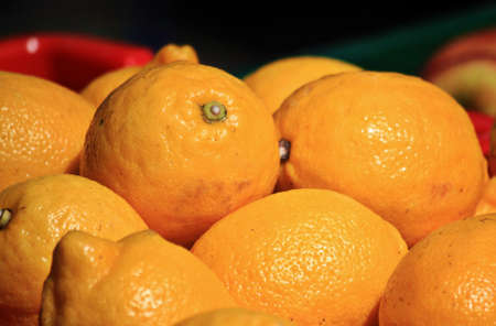 Fresh Oranges